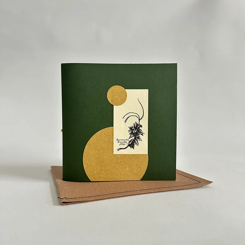 Herbarium XV medio