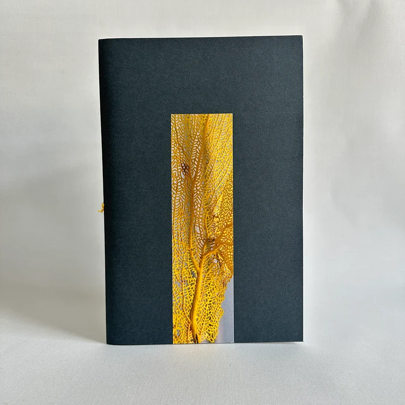 Sketchbook Museum VII