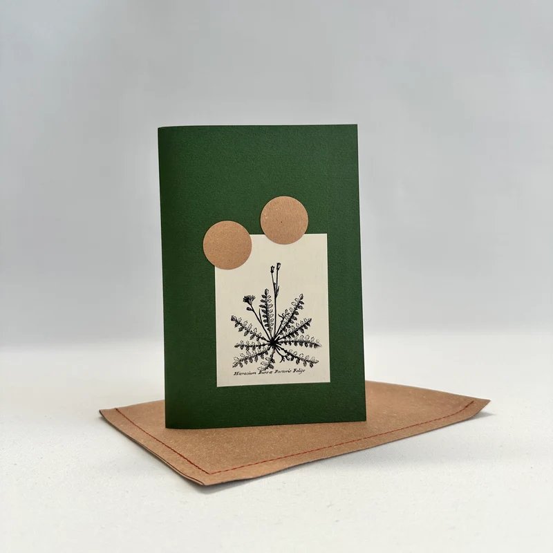 Herbarium XXIII piccolo