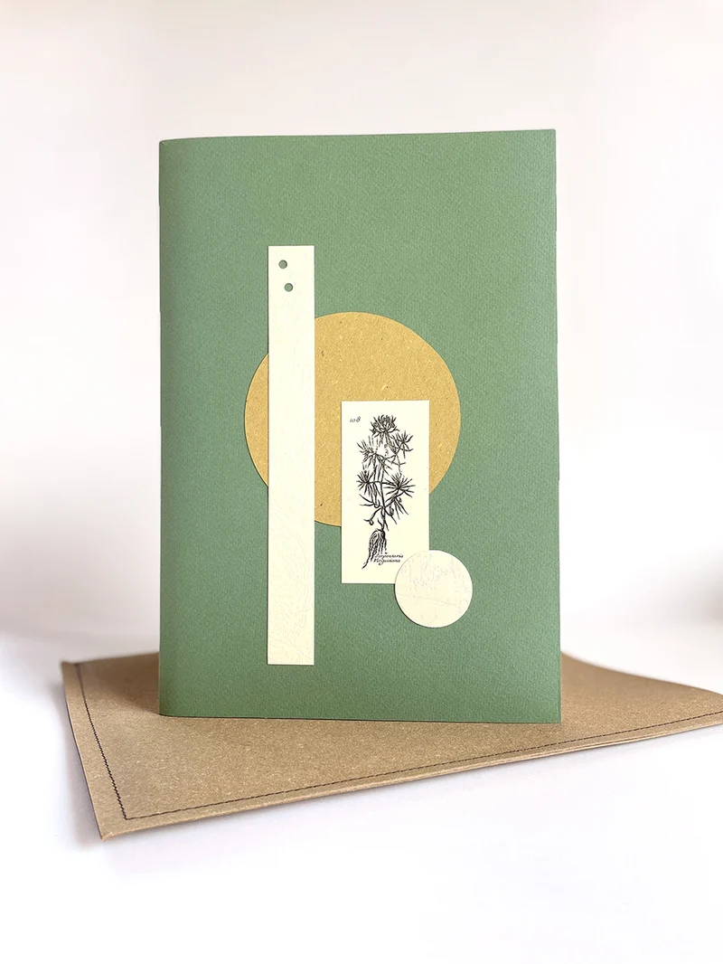 Sketchbook Herbarium V