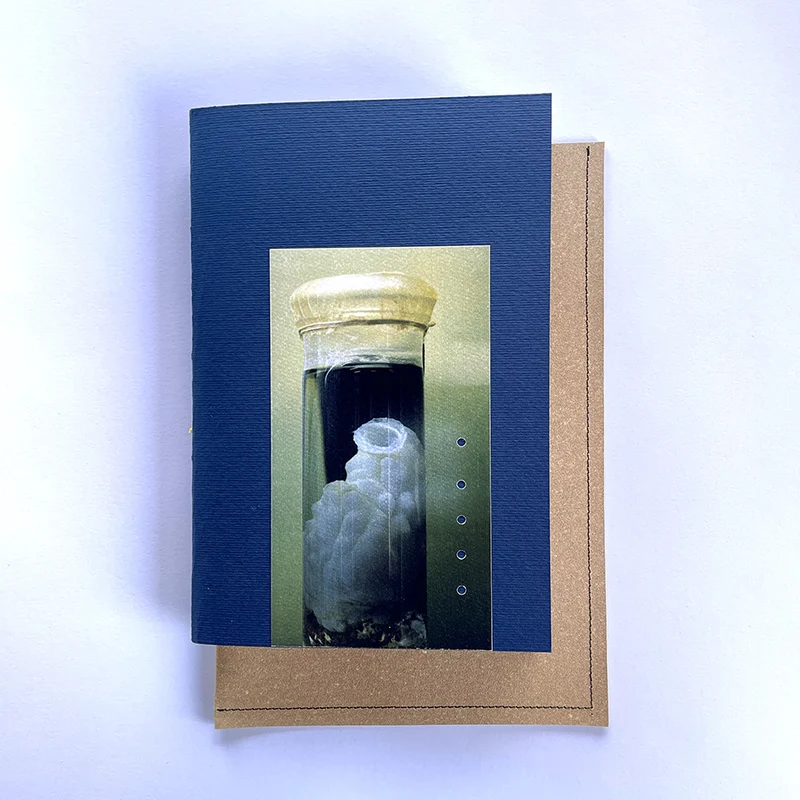 Sketchbook Museum VII