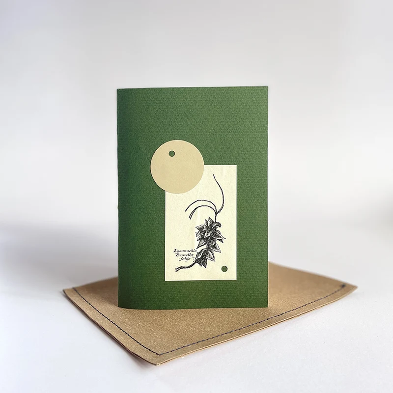 Herbarium IX