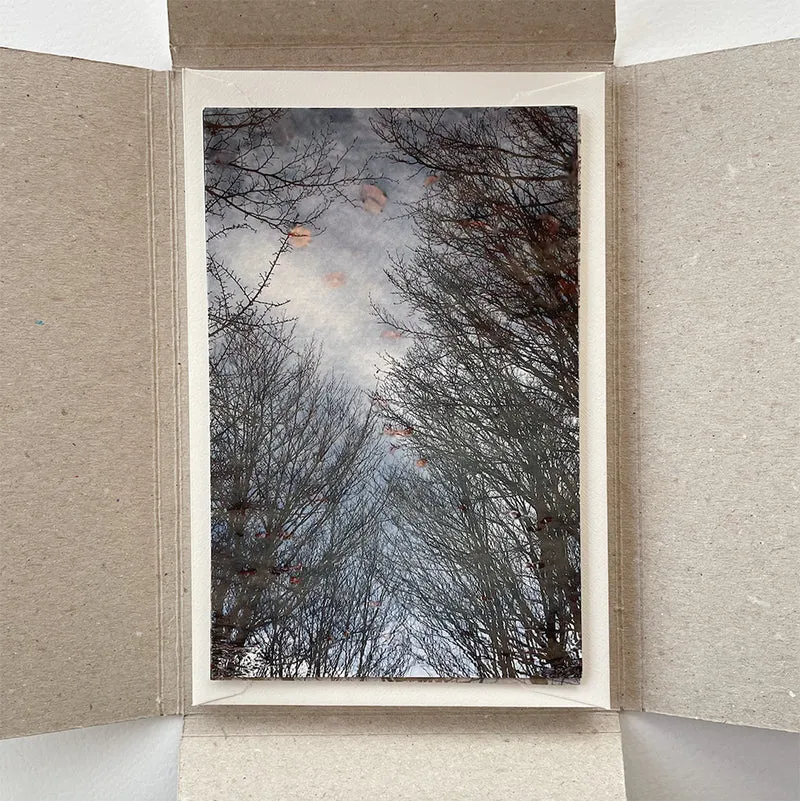KIT Cartoline Nature