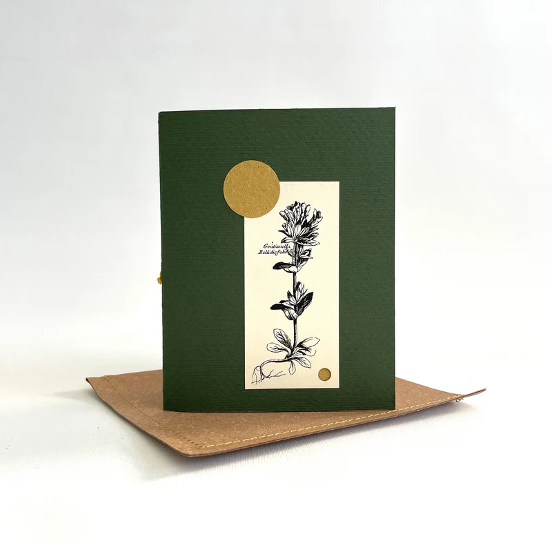 Herbarium VIII Piccolo