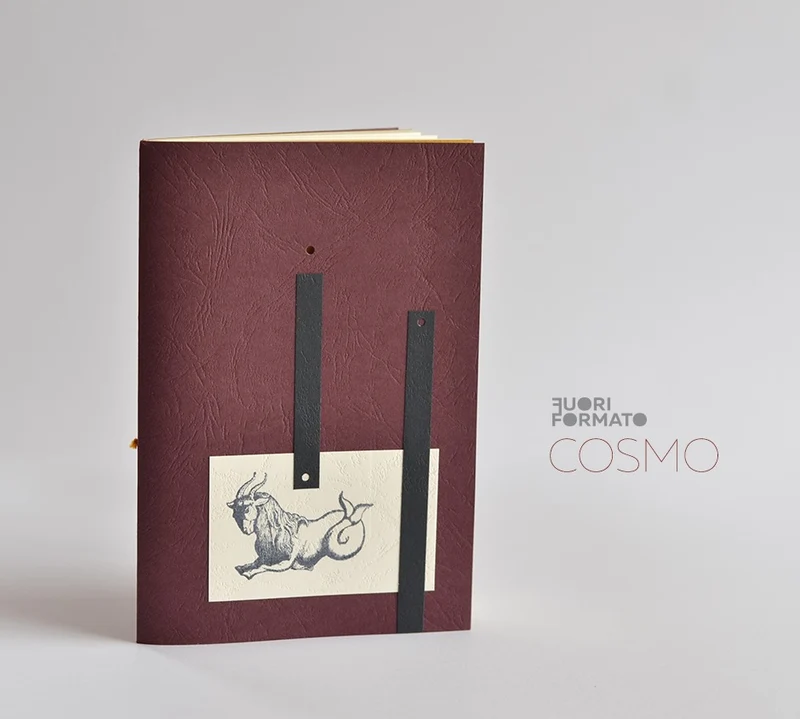 Cosmo Capricorno grande