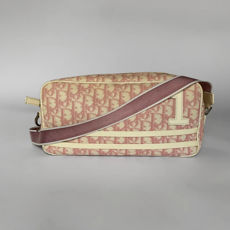 Dior Tela obliqua Messenger