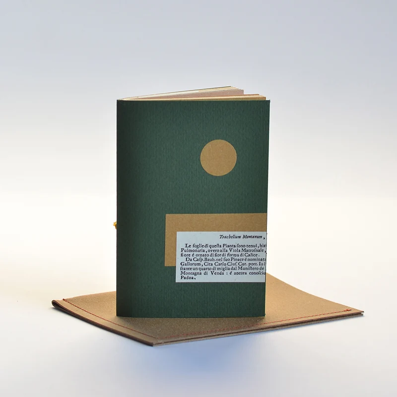 Herbarium VI