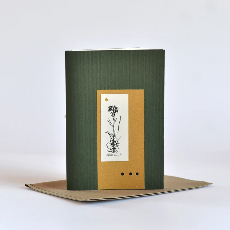 Herbarium IV grande