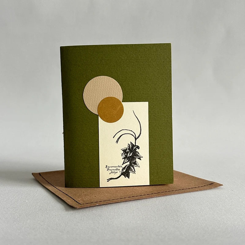 Herbarium III piccolo